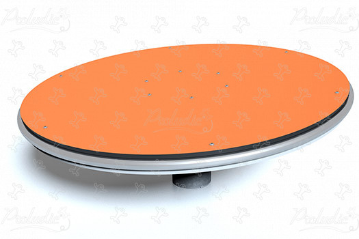 Carrossel Inclusivo Fun Disc