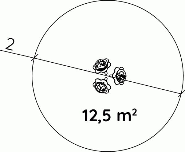 Flores Melódicas - Image 7