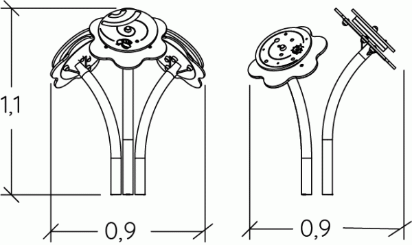 Flores Melódicas - Image 6
