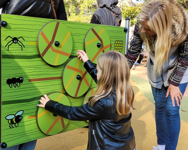 Painel Lúdico Insectos - Image 4