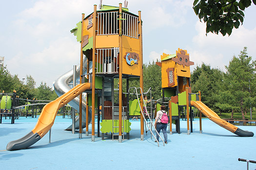Centro Amazónia - Image 2