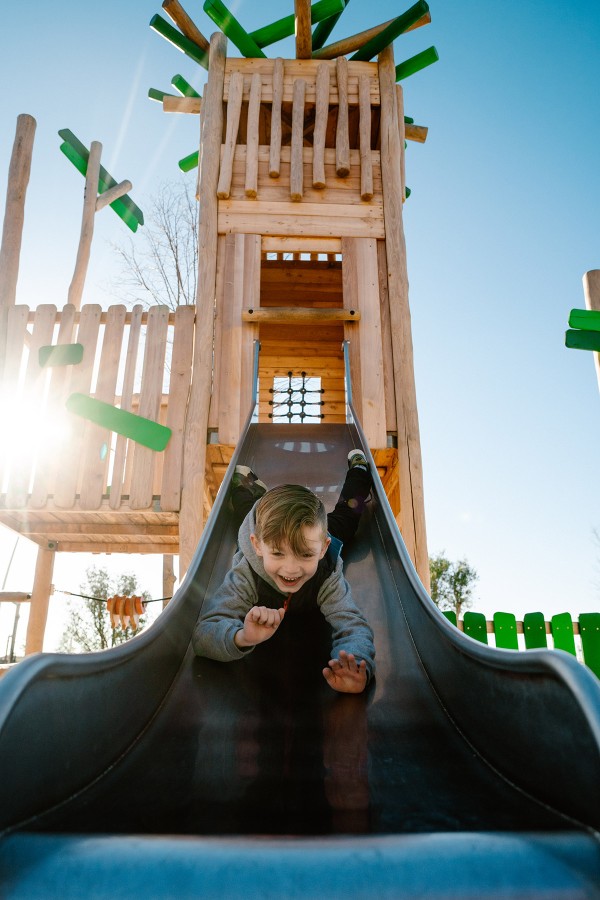 A Torre do Ninho - Image 3