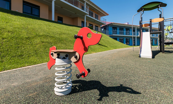 Cão - Image 3