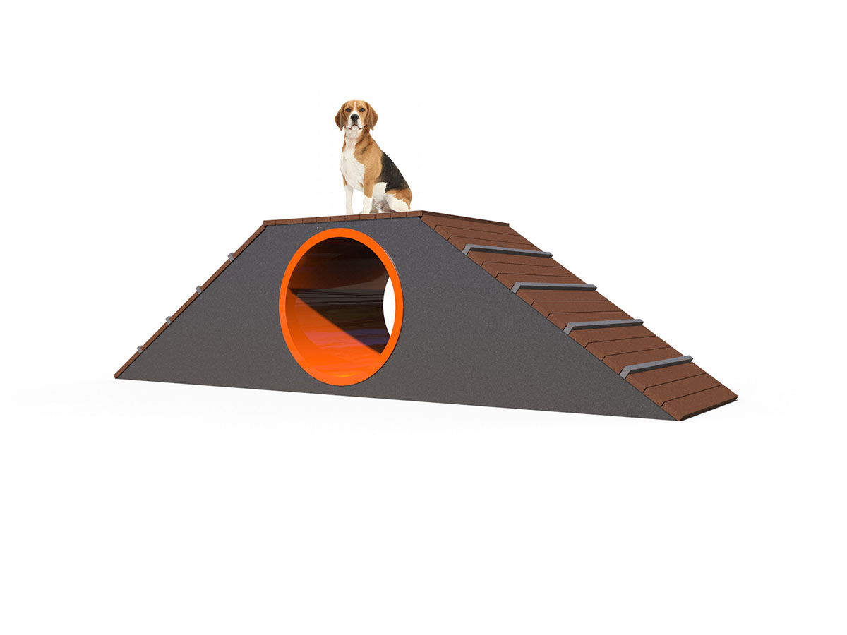 Dog Park 1