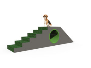 Dog Park 2