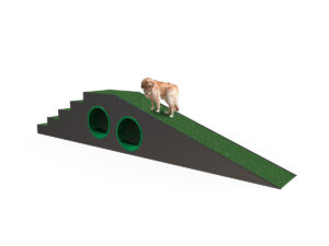 Dog Park 4