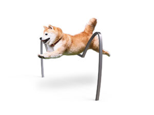 Dog Park Jump L