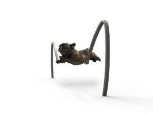 Dog Park Jump M
