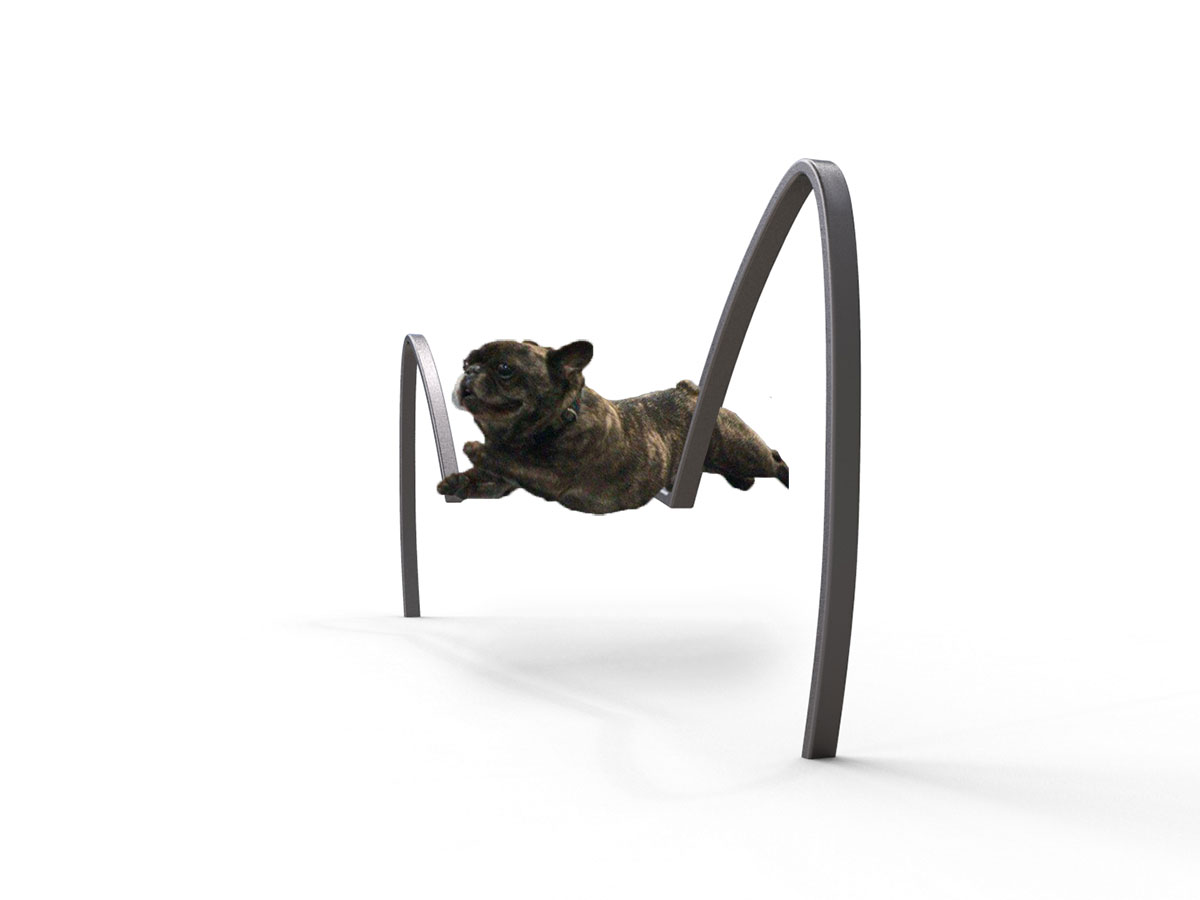 Dog Park Jump M