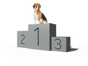 Dog Park Podium