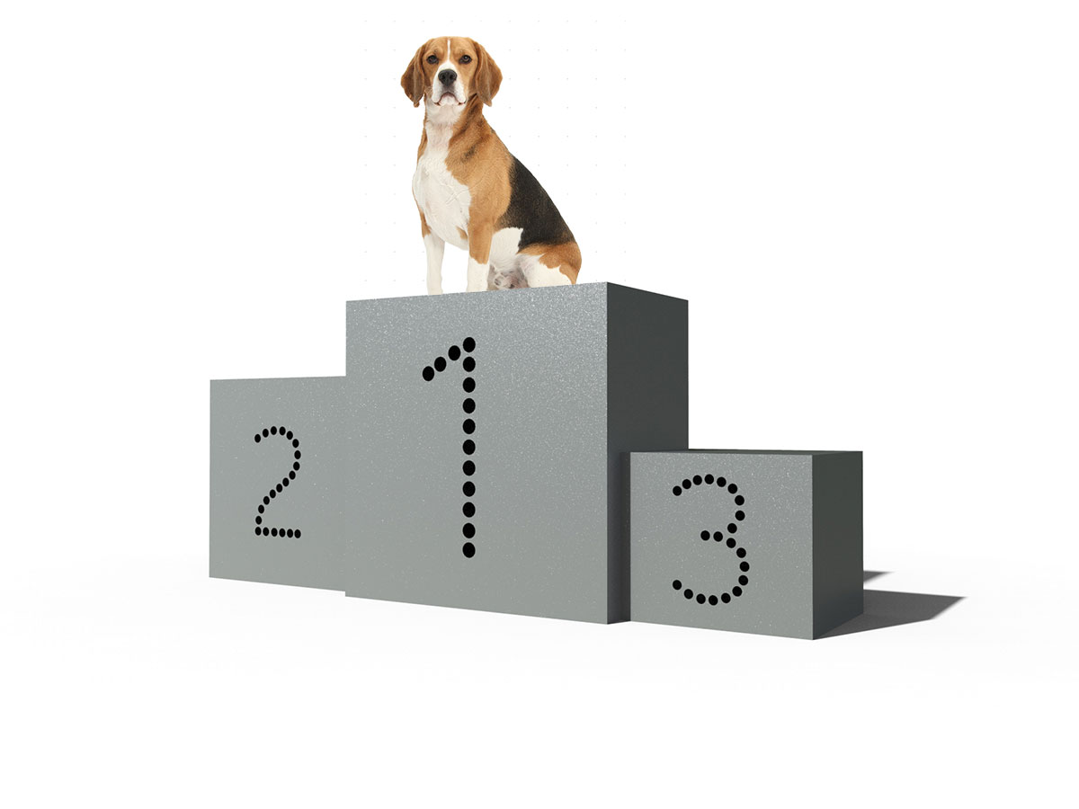 Dog Park Podium