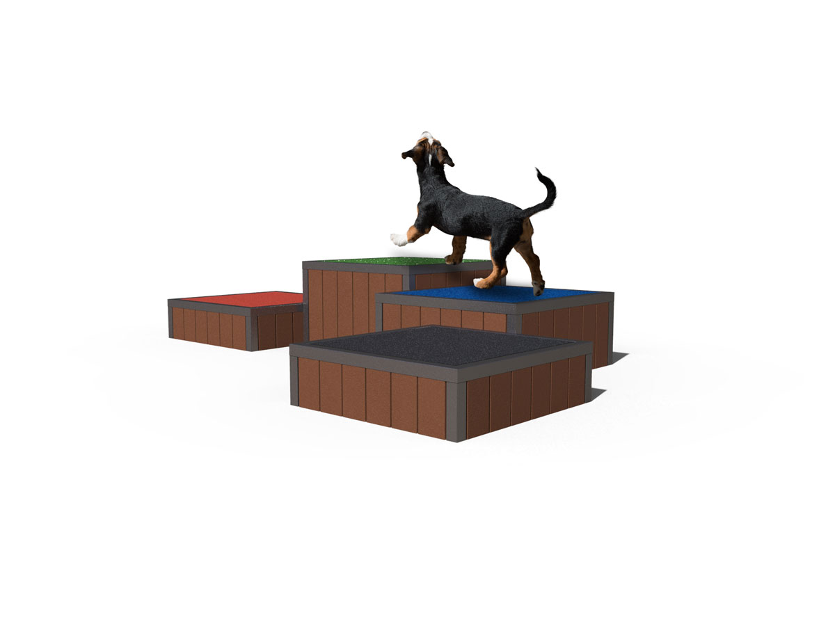 Dog Park Sensorial Eco Boxes