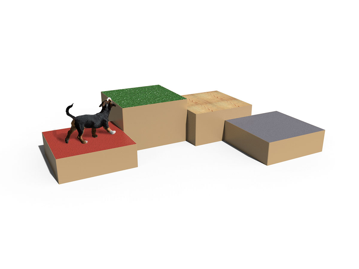 Dog Park Sensorial Boxes