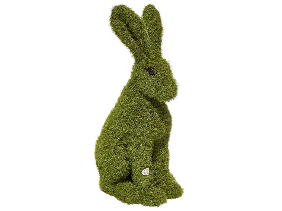 Hare