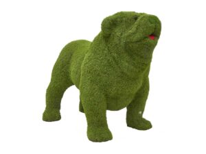 Bulldog