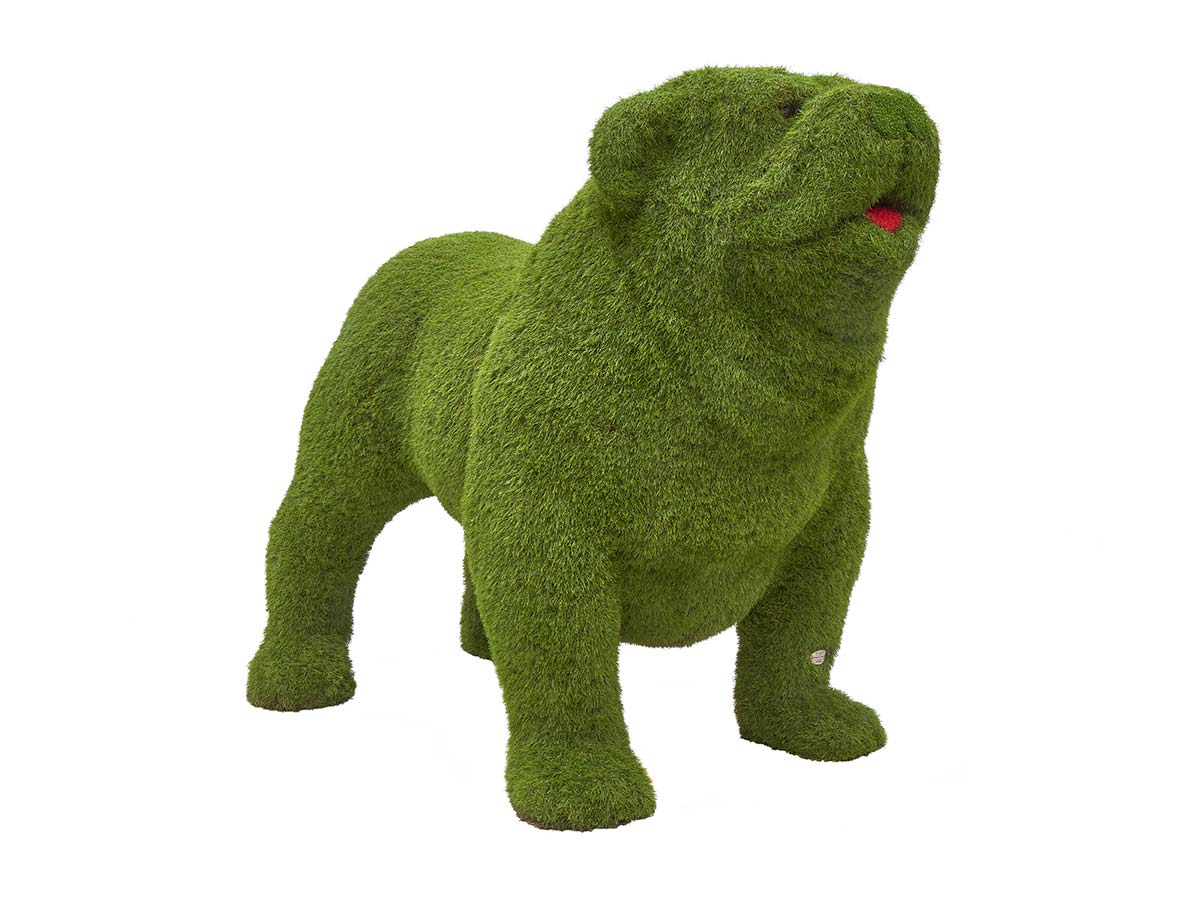 Bulldog