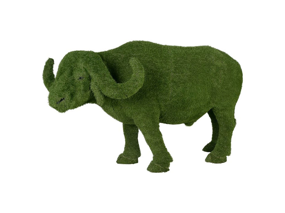 Buffalo