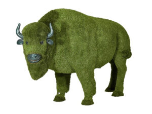 Bisonte
