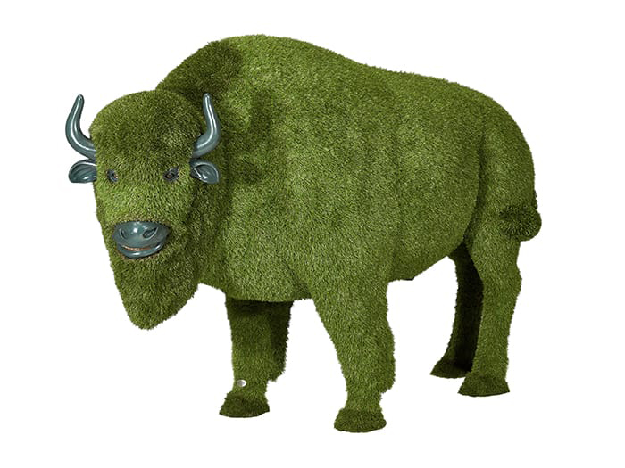 Bisonte