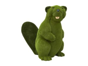 Castor