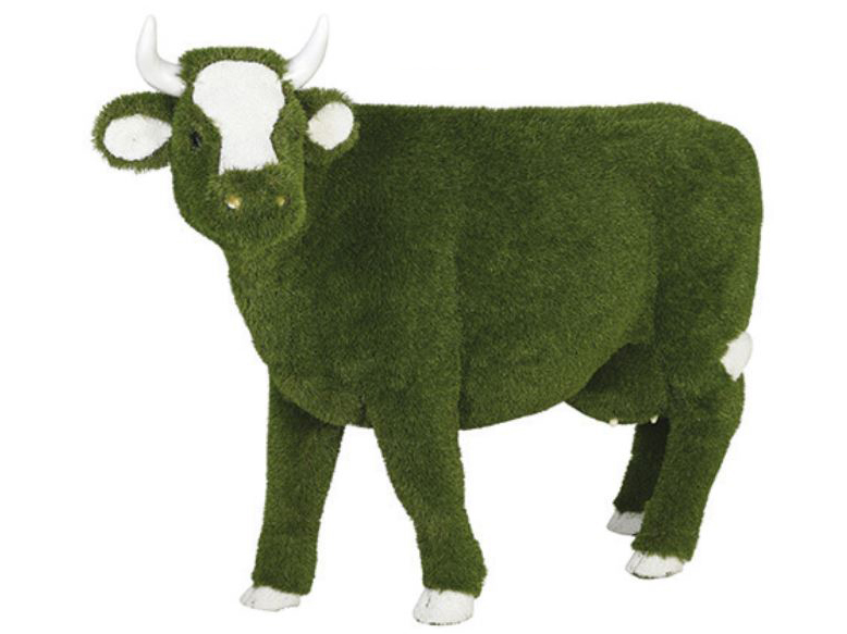 Calf
