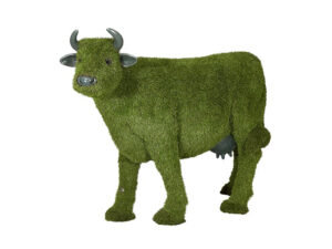 Cow Head Up