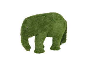 Baby Elephant