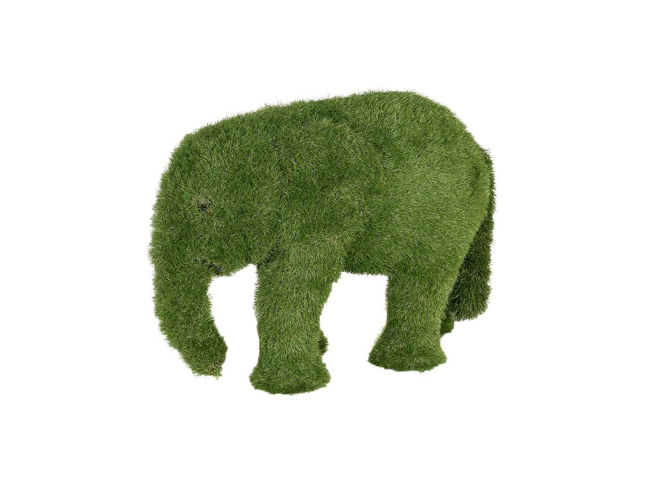 Baby Elephant