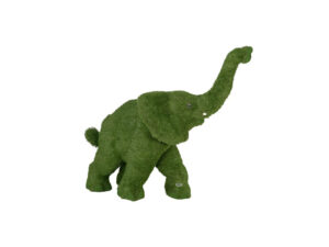 Walking Elephant
