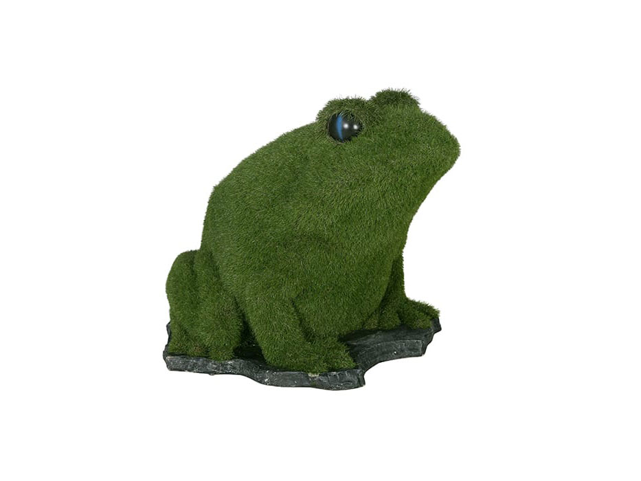Great Bared Frog