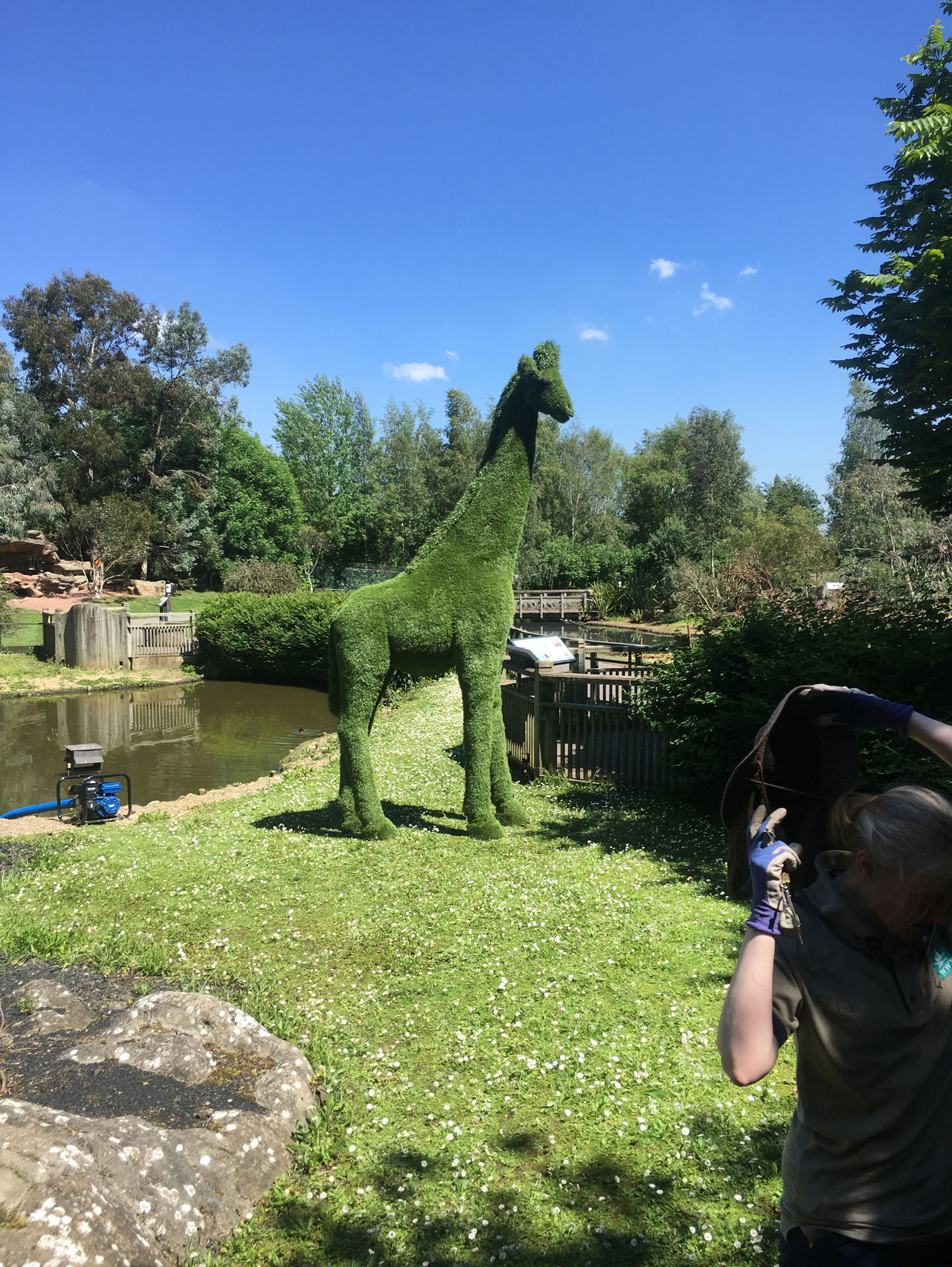 Baby Giraffe 8ft - Image 2