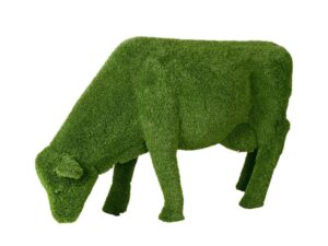 Grazing Cow