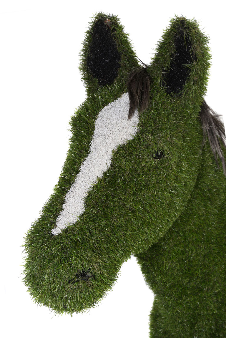 Horse - Image 2