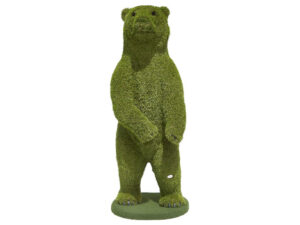 Large Bear Standing