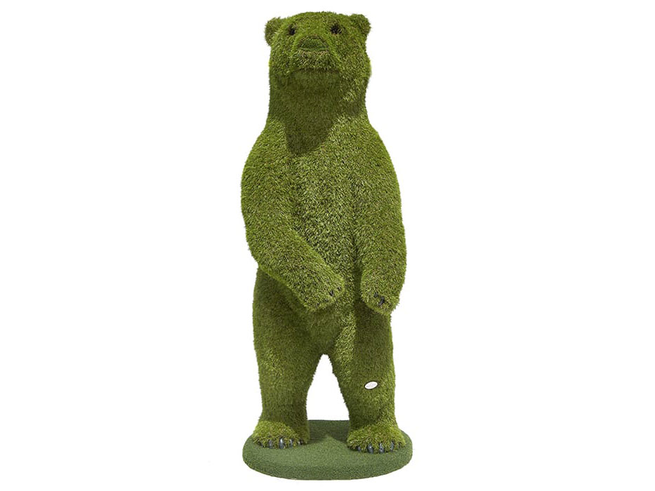 Large Bear Standing
