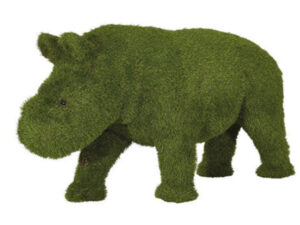 Baby Rhino
