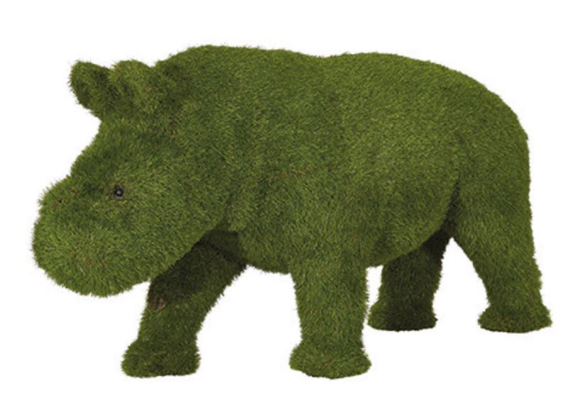 Baby Rhino