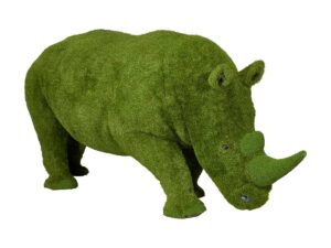 Rhino