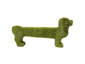Sausage Dog