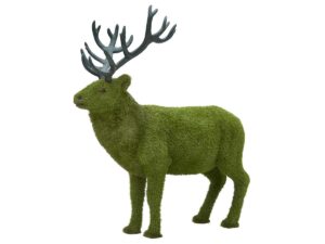 Veado