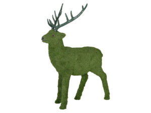 Reindeer
