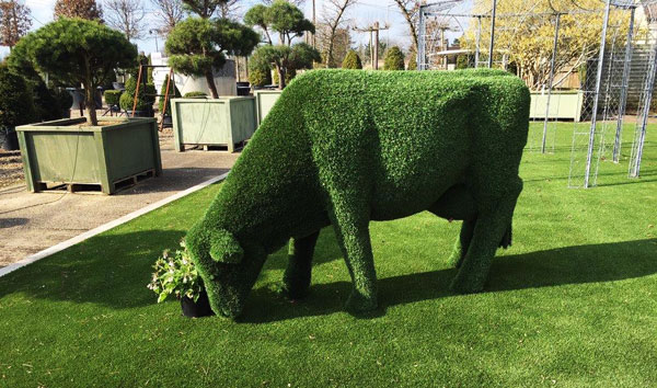 Grazing Cow - Image 3