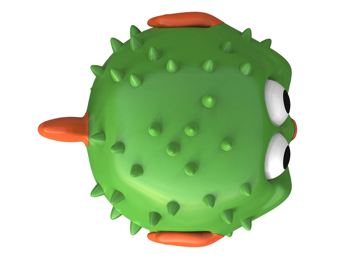 Peixe-Balão - Image 4